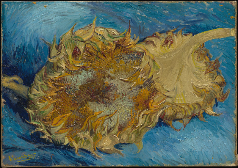 Dwa Słoneczniki - Vincent van Gogh