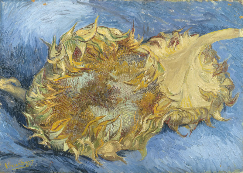 Dwa Słoneczniki - Vincent van Gogh
