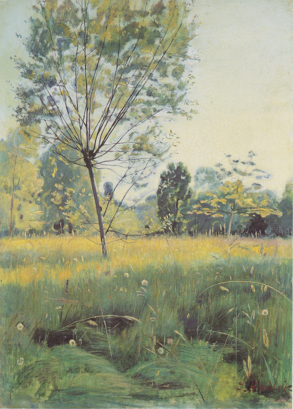 Q117536875 - Ferdinand Hodler - Alpha Reproduction
