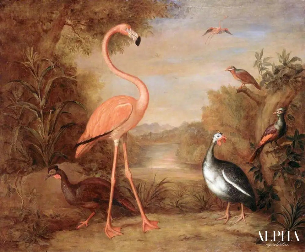 Différents types d'oiseaux (avec un flamant rose) - Tobias Stranover - Reproductions de tableaux et peintures haut de gamme