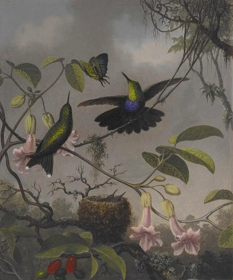 Dryada z rozgałęzionym ogonem - Martin Johnson Heade