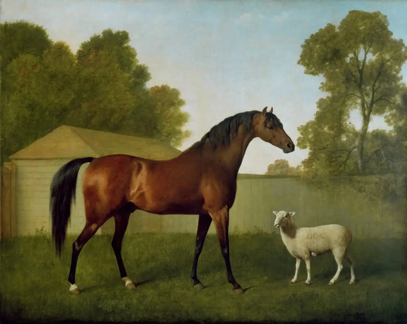 Dungannon, własność pułkownika O'Kelly, namalowany na pastwisku z owcą - George Stubbs