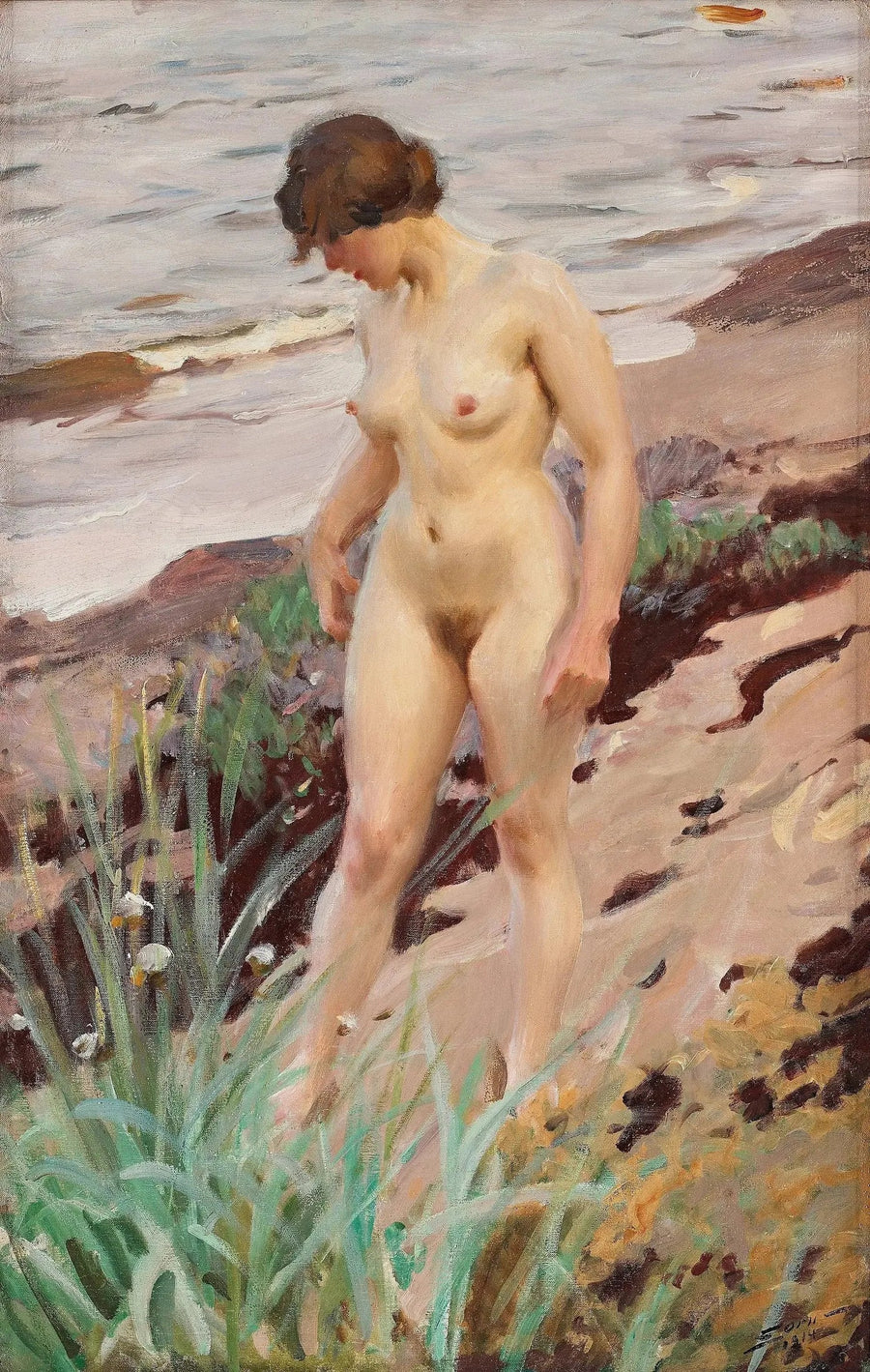 Efekt Sandhamn - Anders Zorn