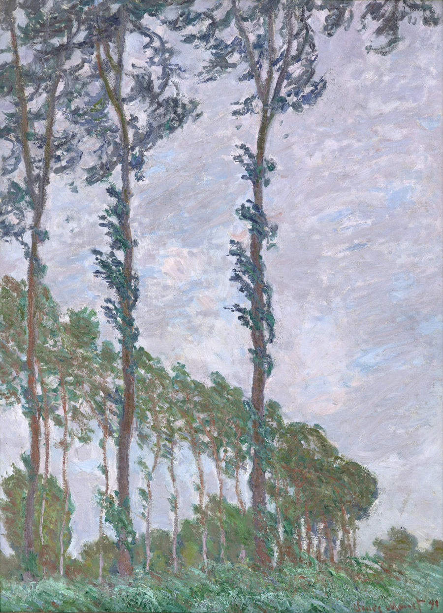 Efekt wiatru, seria Topoli W1302 - Claude Monet