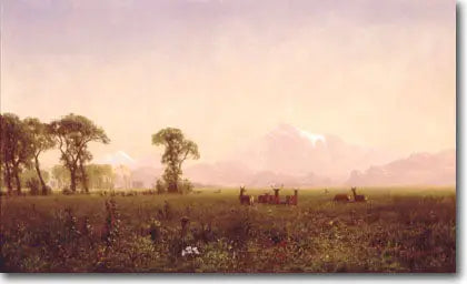 Elany pasące się w regionie Wind River - Albert Bierstadt
