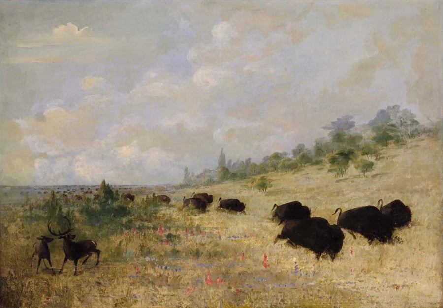 Ełany i bizony pasące się wśród kwiatów łąk, Teksas - George Catlin