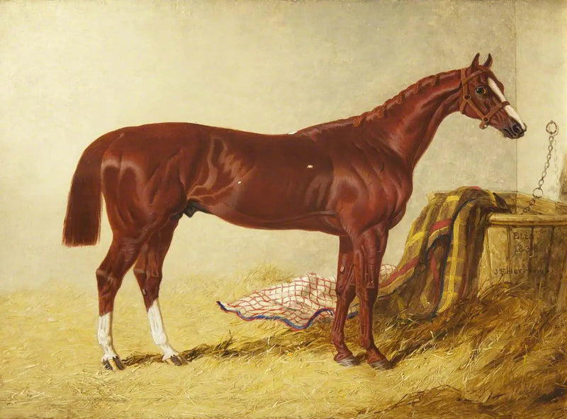Elis, zwycięzca wyścigu St Leger Stakes, 1836, w oddzielnej stajni - John Frederick Herring, Sr.