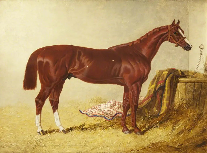 Elis, zwycięzca wyścigu St Leger Stakes, 1836, w oddzielnej stajni - John Frederick Herring, Sr.
