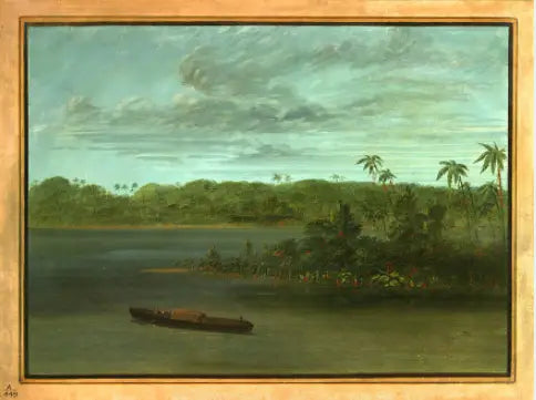 Ujście rzeki Purus - George Catlin