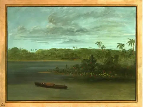 Ujście rzeki Purus - George Catlin