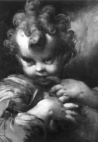 Dziecko Święty Jan - Parmigianino