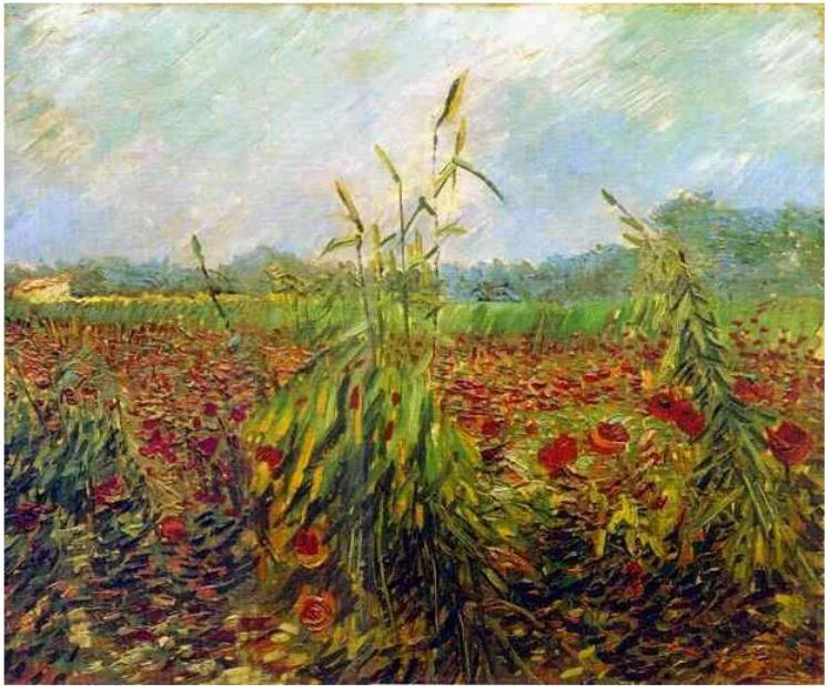 Zielone kłosy pszenicy - Vincent van Gogh