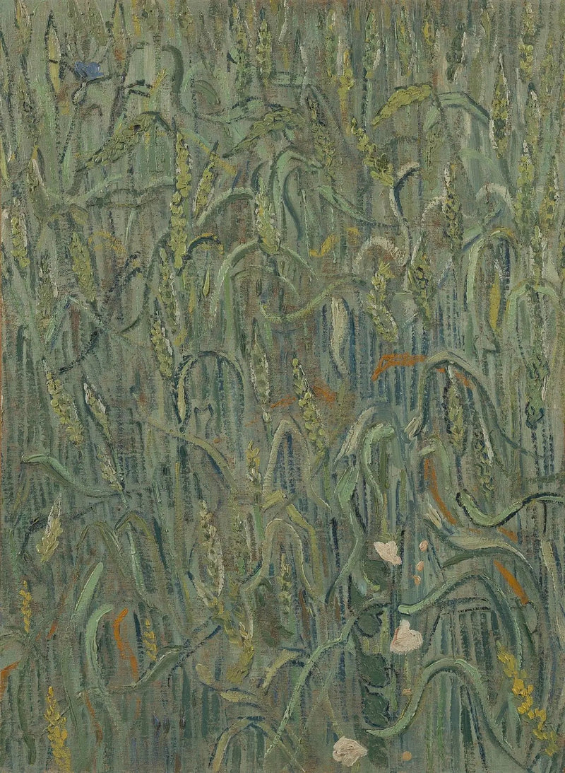 Kłosy pszenicy - Vincent van Gogh