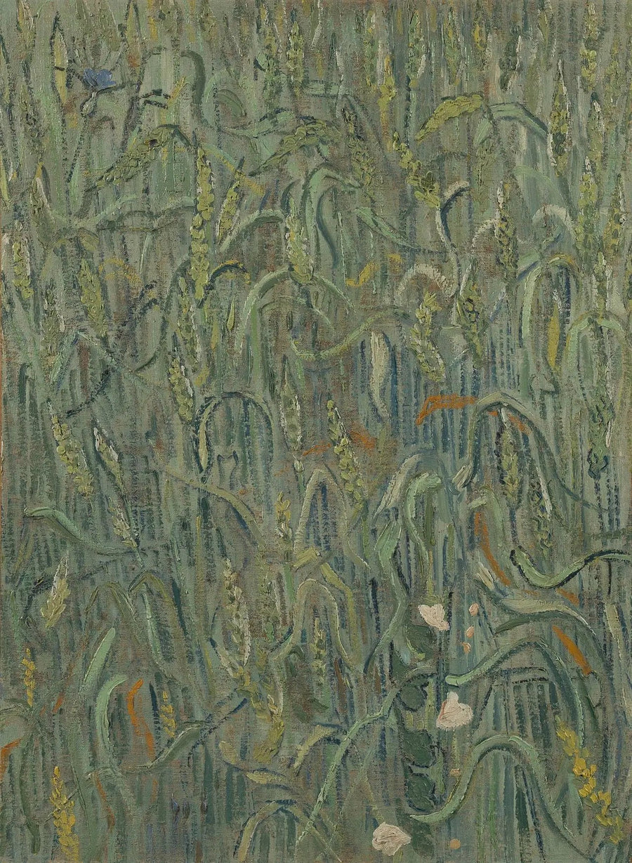 Kłosy pszenicy - Vincent van Gogh