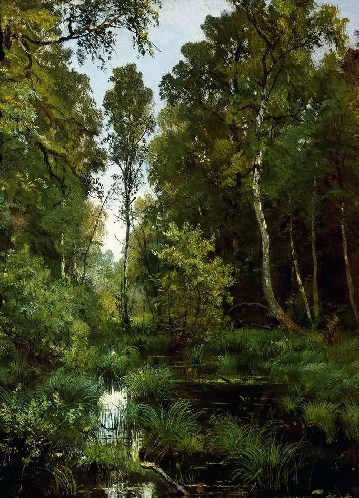 Staw porośnięty roślinnością na skraju lasu. Siverskaya - Ivan Chichkine