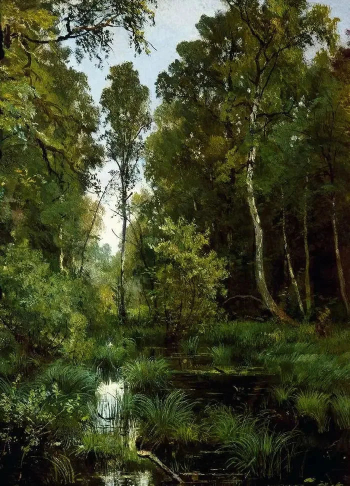 Staw porośnięty roślinnością na skraju lasu. Siverskaya - Ivan Chichkine