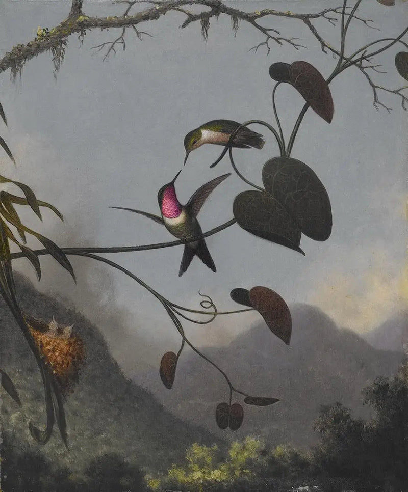 Gwiazda z drewna ametyst - Martin Johnson Heade