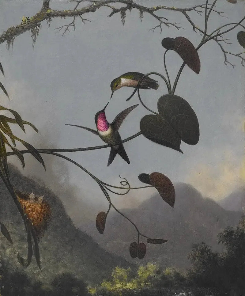 Gwiazda z drewna ametyst - Martin Johnson Heade