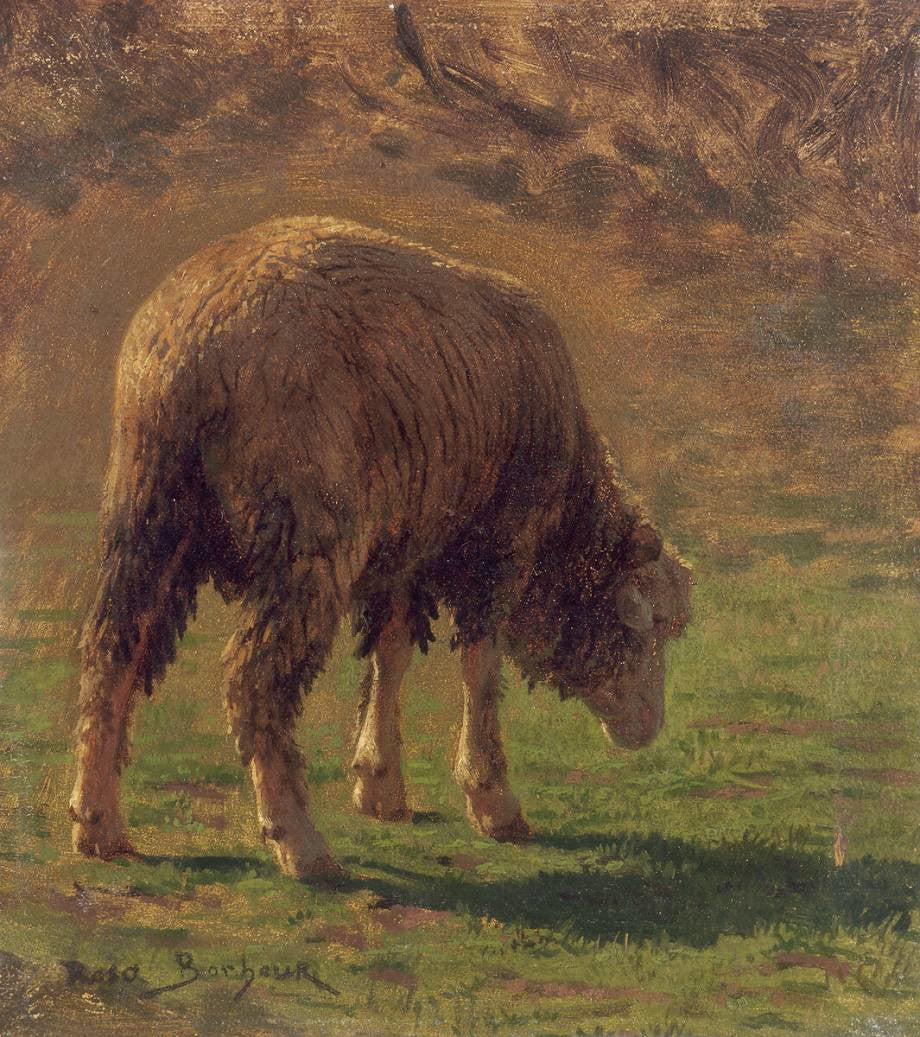 Étude de bélier - Rosa Bonheur - Alpha Reproduction