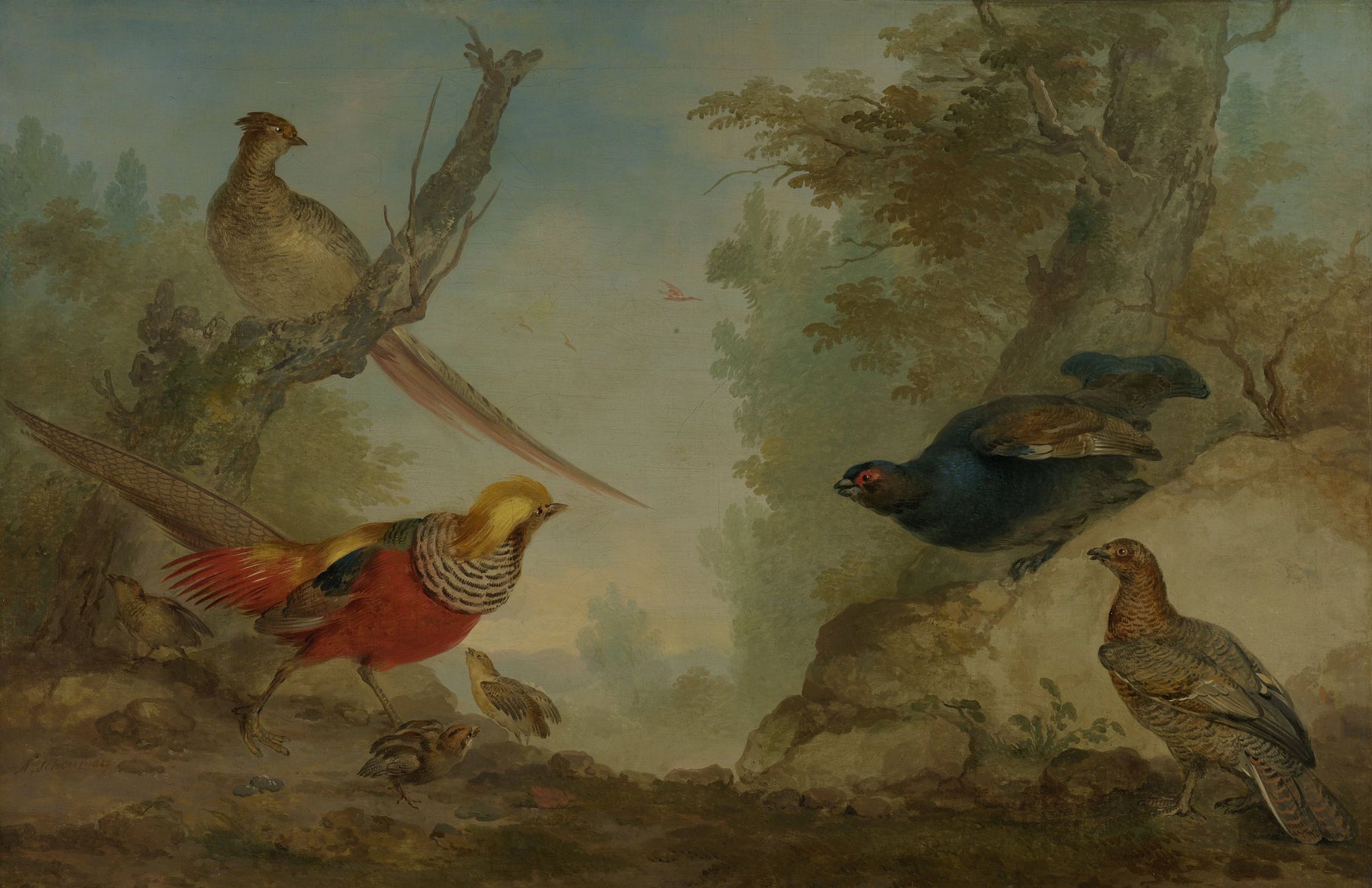 Faisans - Aert Schouman
