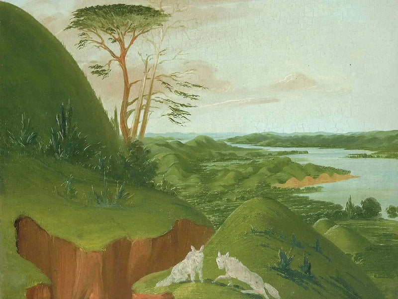Klify rzeczne z białymi wilkami na pierwszym planie, Haut-Missouri - George Catlin