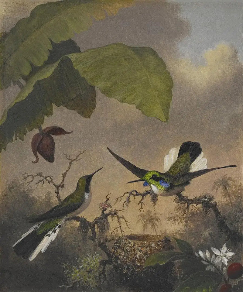 Wróżka z czarnymi uszami - Martin Johnson Heade