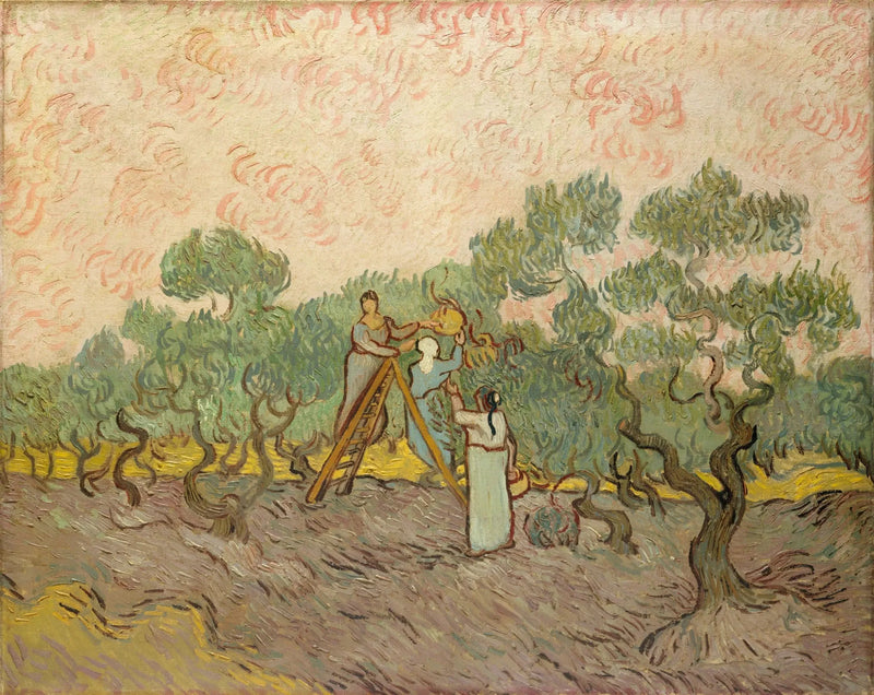 Kobiety zbierające oliwki - Vincent van Gogh