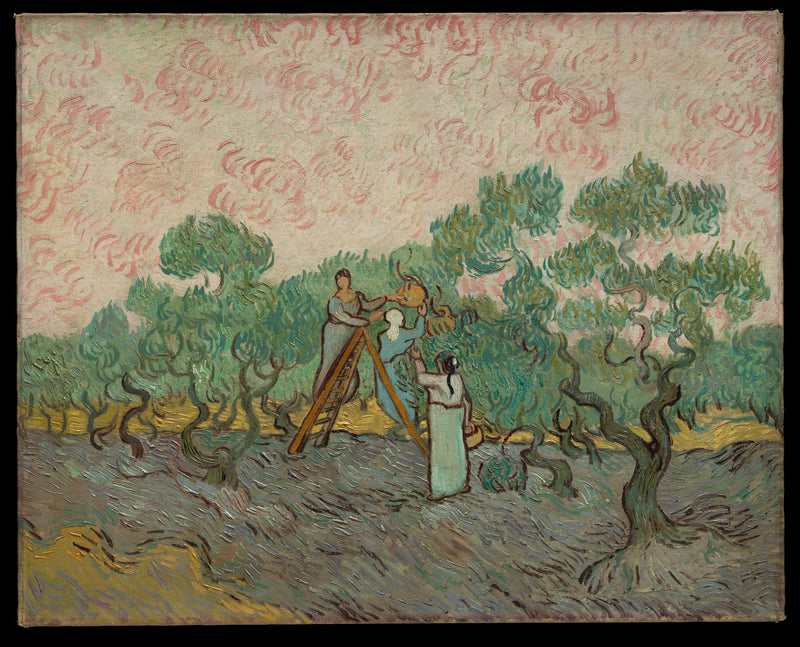 Kobiety zbierające oliwki - Vincent van Gogh
