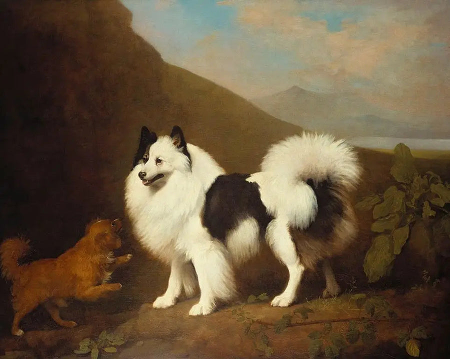 Fino i Tiny - George Stubbs