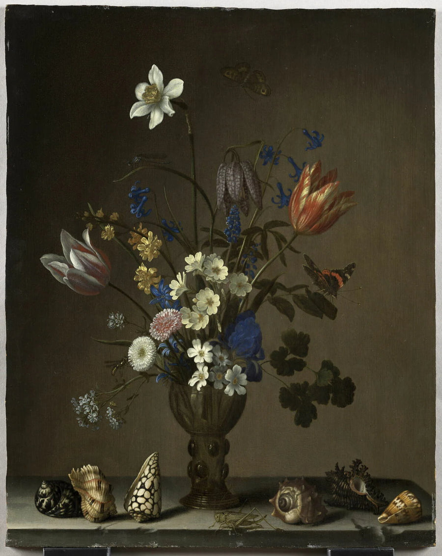 Fleurs dans une coupe de verre, coquillages, papillons et sauterelle - Balthasar van der Ast