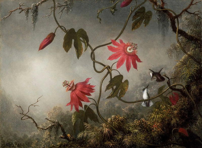 Kwiaty pasji i kolibry - Martin Johnson Heade
