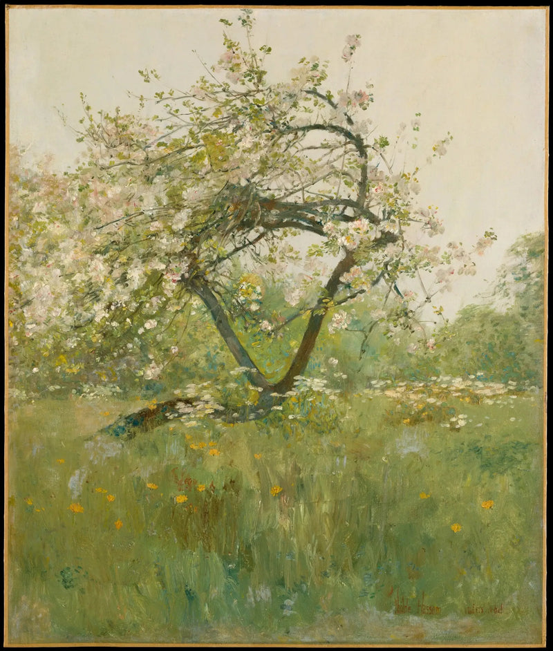 Kwiaty brzoskwiniowe — Villiers-le-Bel - Childe Hassam