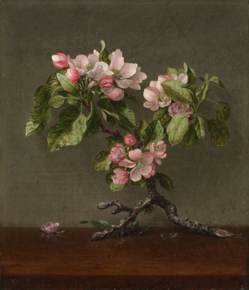 Kwiaty jabłoni - Martin Johnson Heade