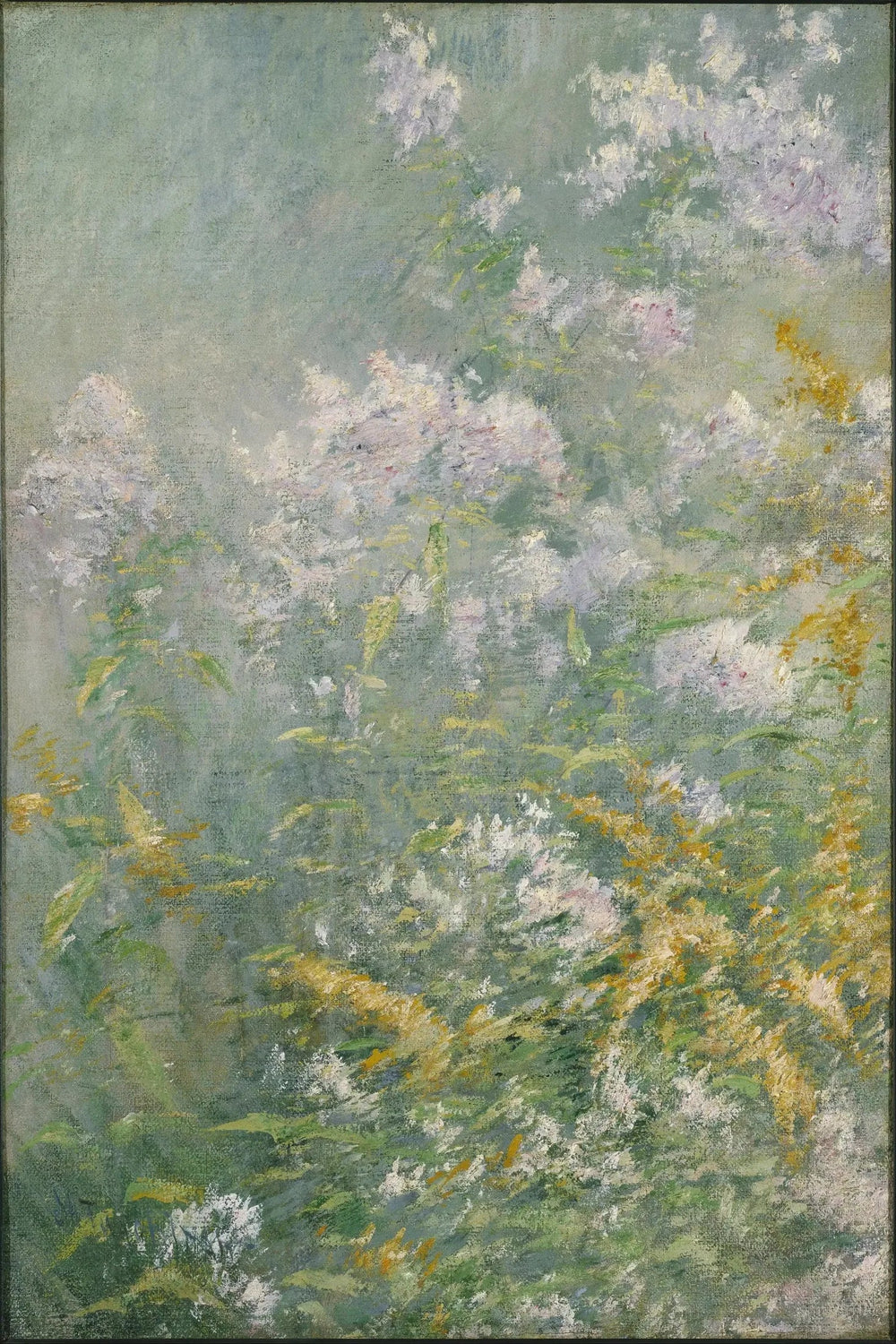 Fleurs des prés (Verge d’or et Aster sauvage) - John Henry Twachtman - Alpha Reproduction