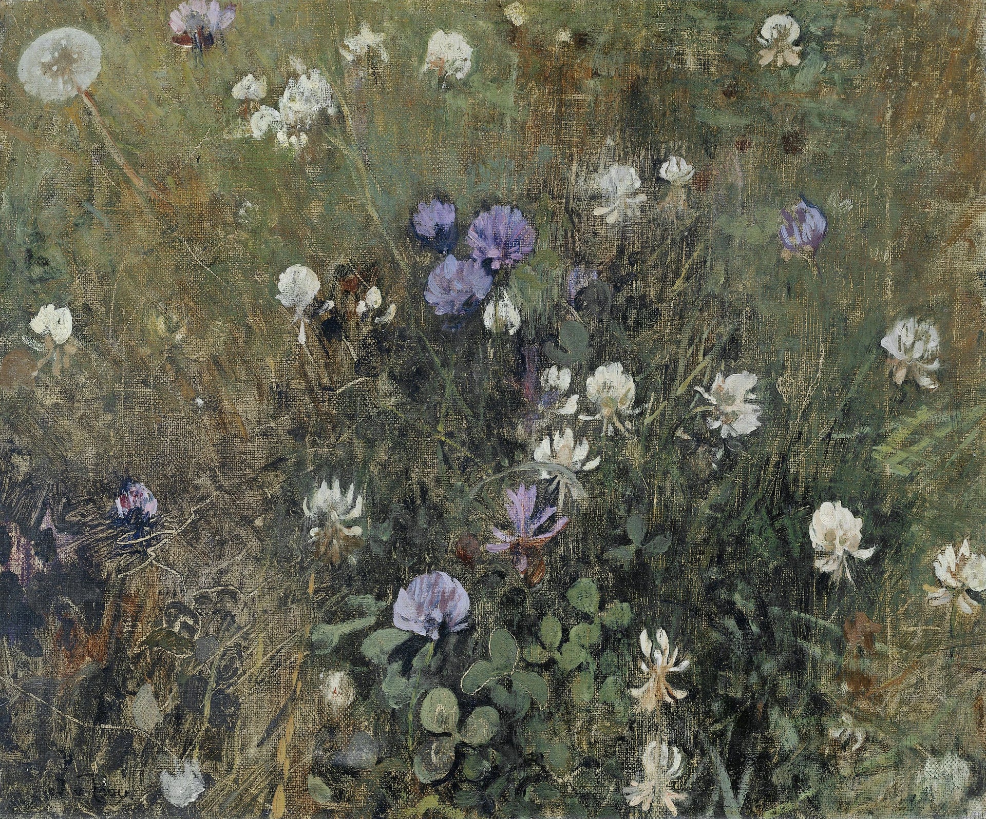 Fleurs de trèfle - Jacobus van Looy
