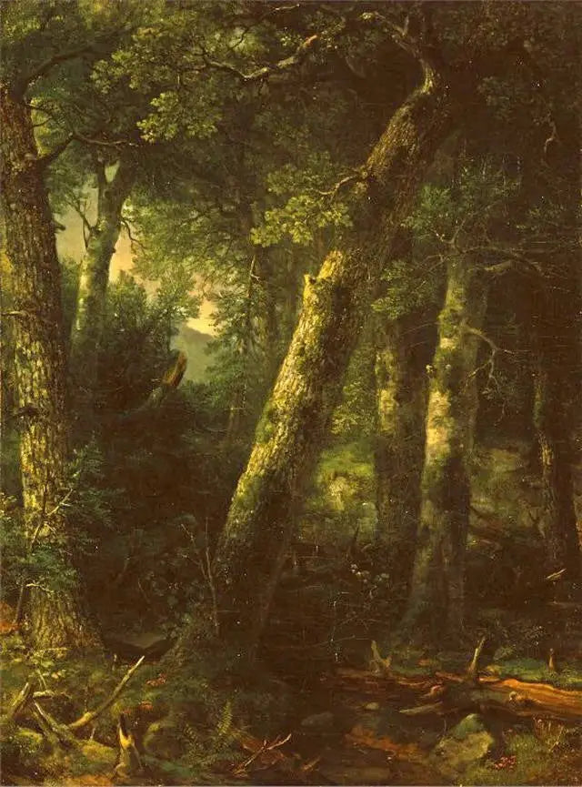 Las w porannej świetle - Asher Brown Durand