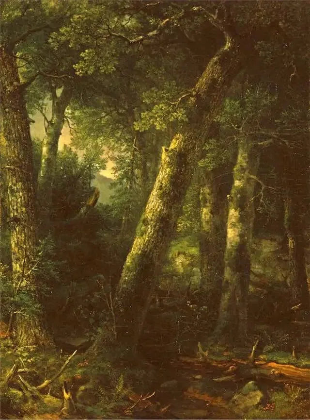 Las w porannej świetle - Asher Brown Durand