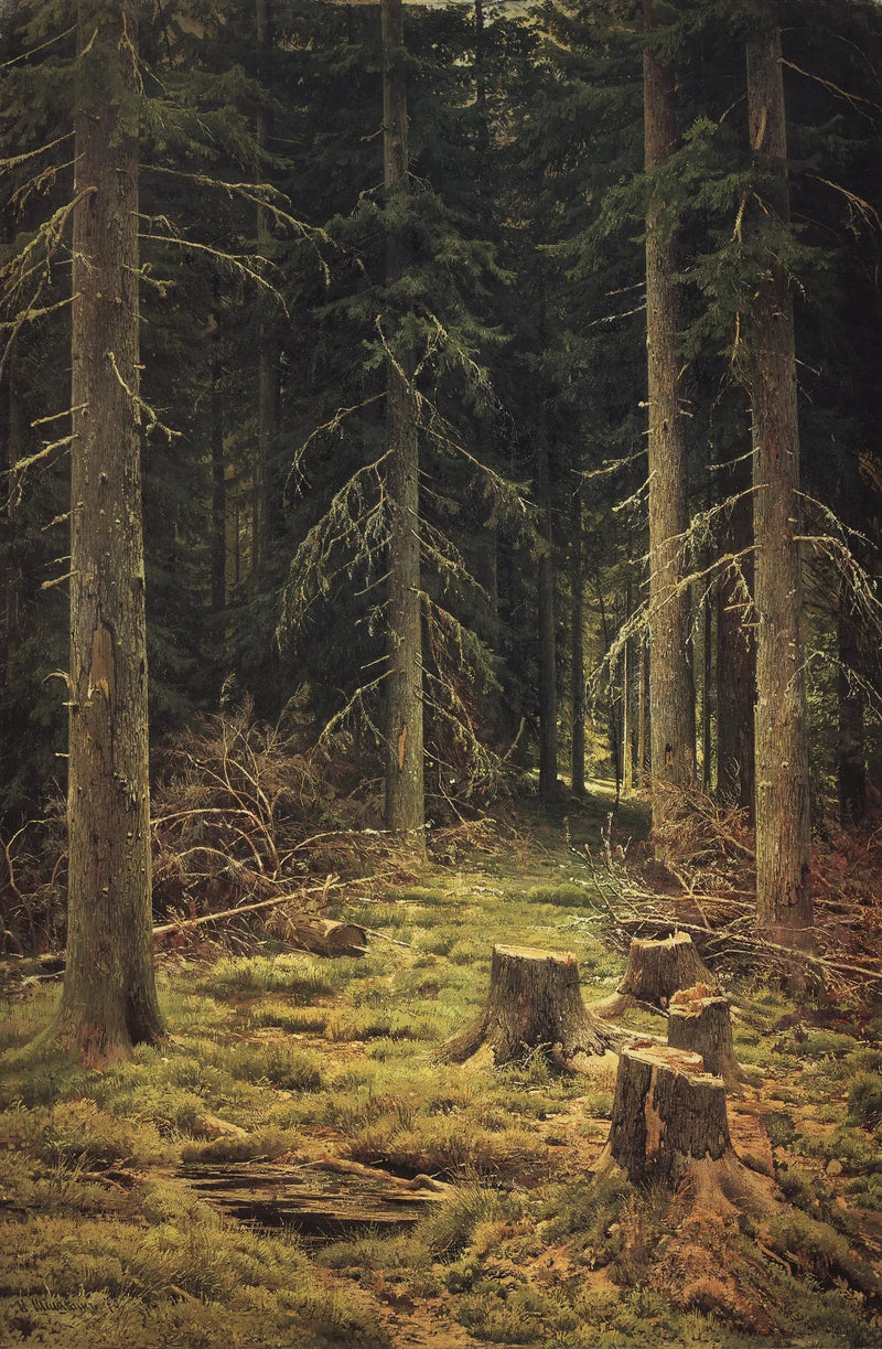 Las iglasty - Ivan Chichkine