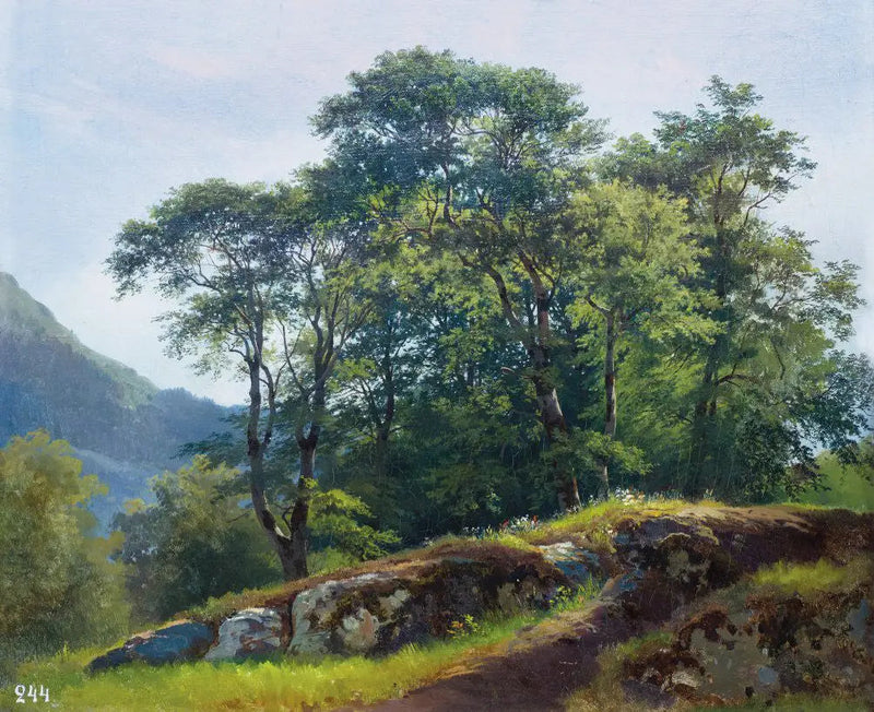 Las bukowy w Szwajcarii - Ivan Chichkine