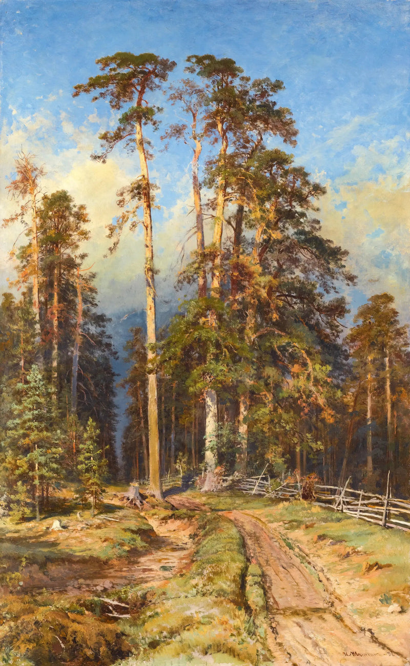 Las sosnowy - Ivan Chichkine