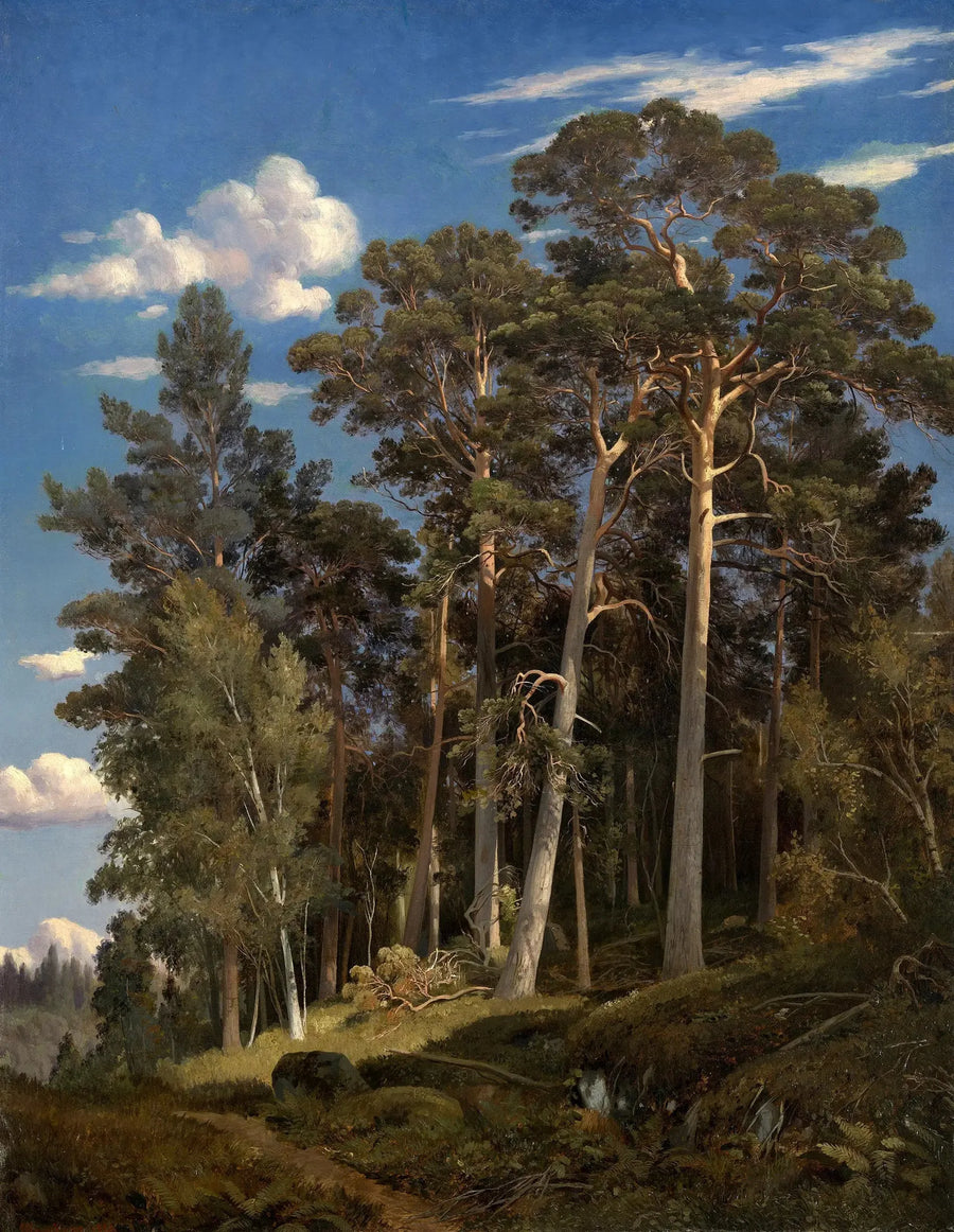 Las sosnowy - Ivan Chichkine