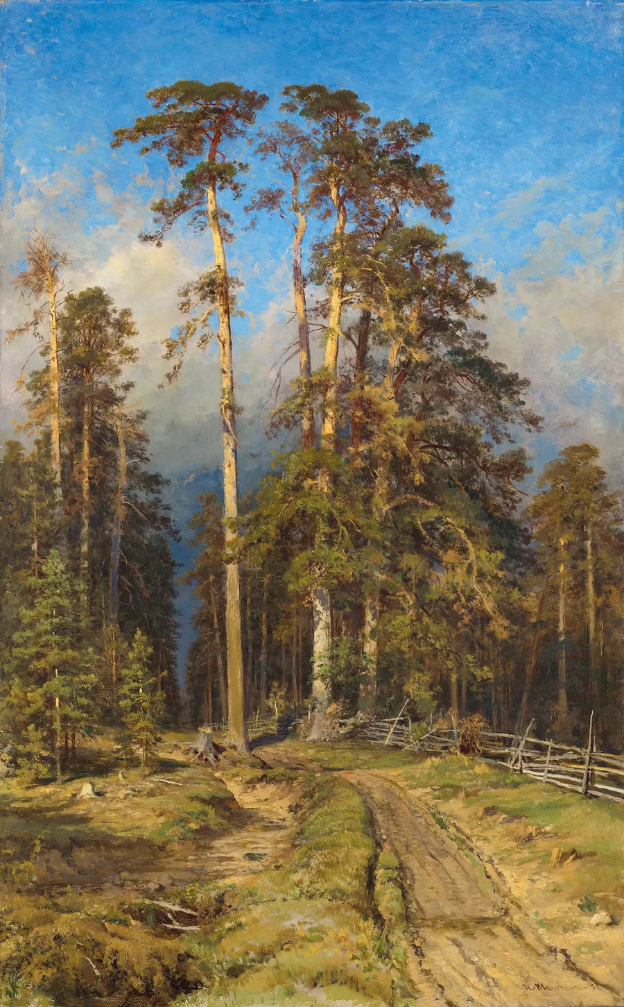 Las sosnowy - Ivan Chichkine