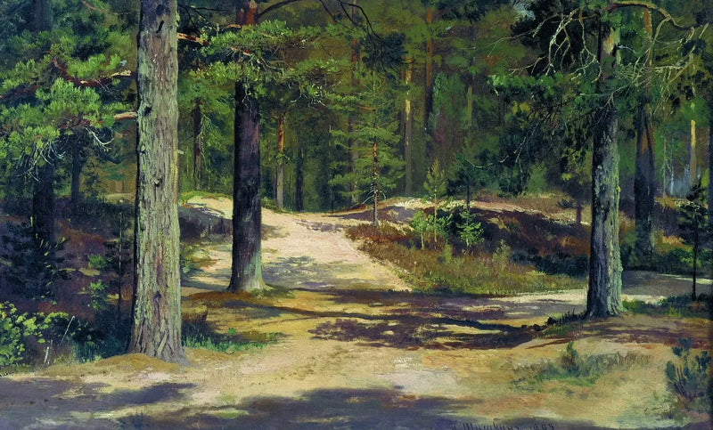 Las sosnowy - Ivan Chichkine