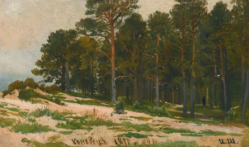 Las sosnowy - Ivan Chichkine