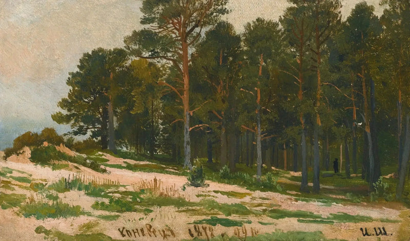 Las sosnowy - Ivan Chichkine