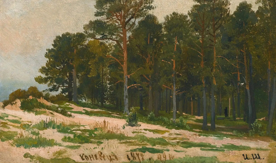 Las sosnowy - Ivan Chichkine