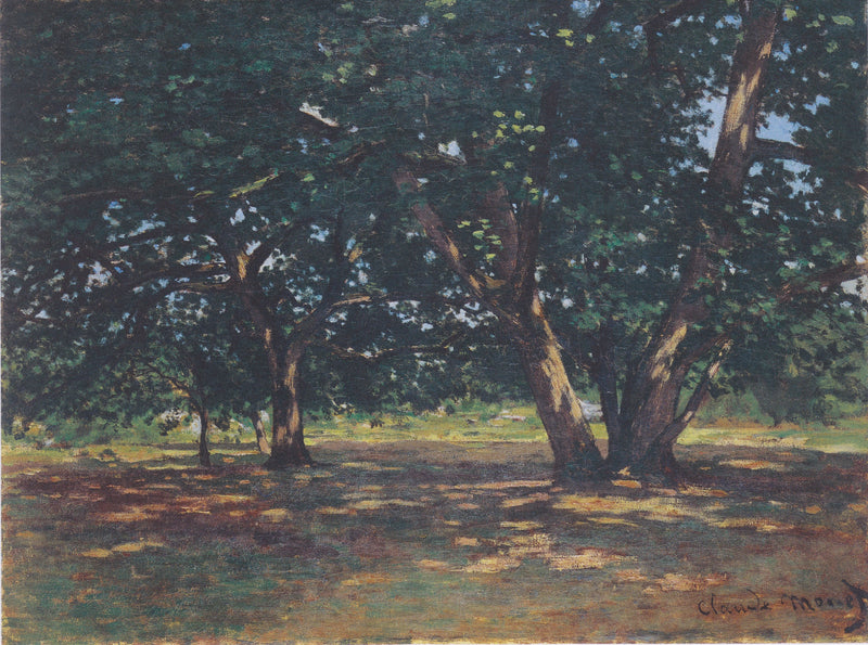 Las Fontainebleau W59 - Claude Monet