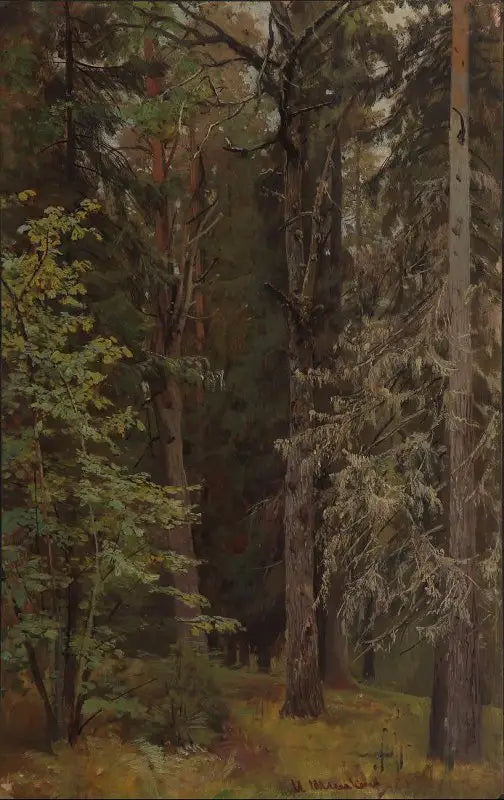 Mieszany las - Ivan Chichkine