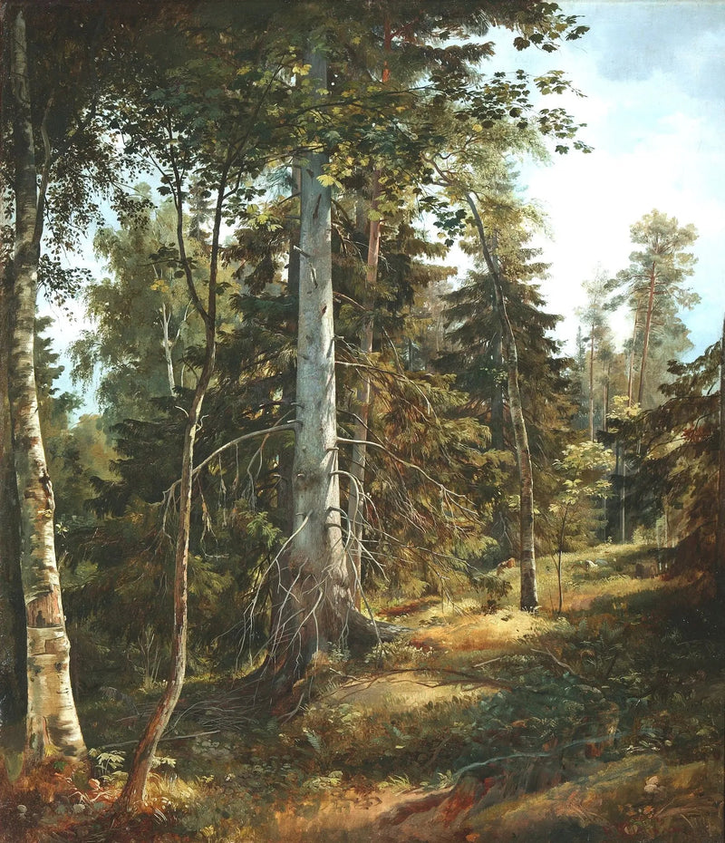 Wytłoczenie leśne - Ivan Chichkine