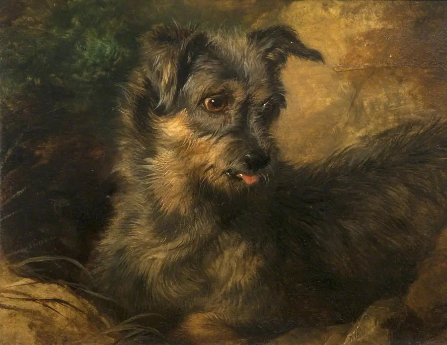 Imbir - Edwin Henry Landseer